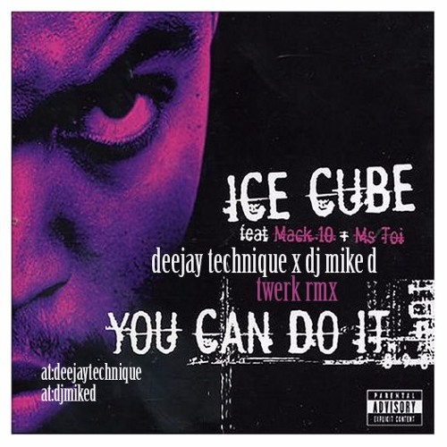 You Can Do It (Deejay Technique x DJ Mike D Twerk Remix)