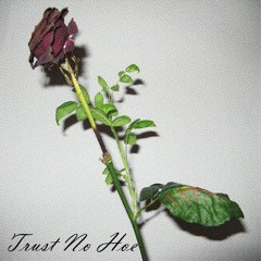 Trust No Hoe prod. by trvshgod