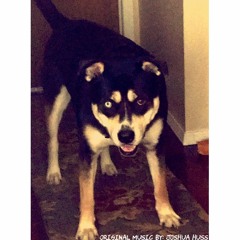 Untitled (Original Song!)