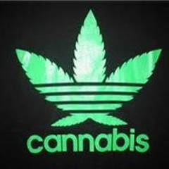 High/