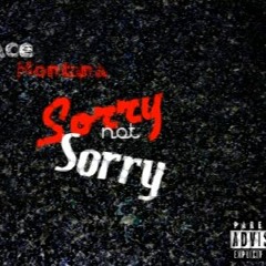 Ace - Not Sorry (freestyle)