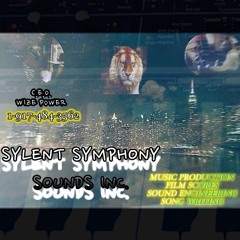 Sylent Sounds Instrumental Produced by Wize Power