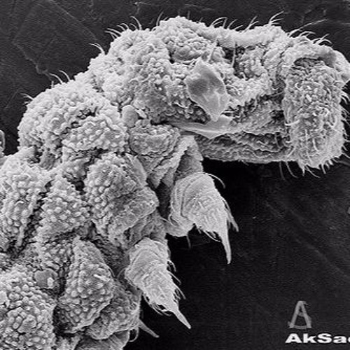 Virus Closeup Under Microscope Stock Illustration - Illustration of medicine, ge