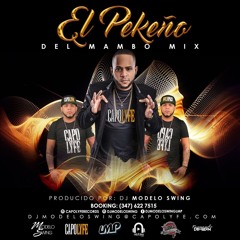 El Pekeno Mini Mix CL - Dj Modelo Swing LMP