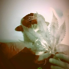 Married To Mary Jane (The Best Remix Eva')