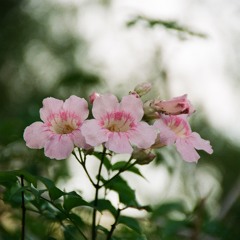 Garageband Experiment