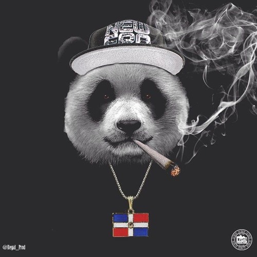 king swish king swish
