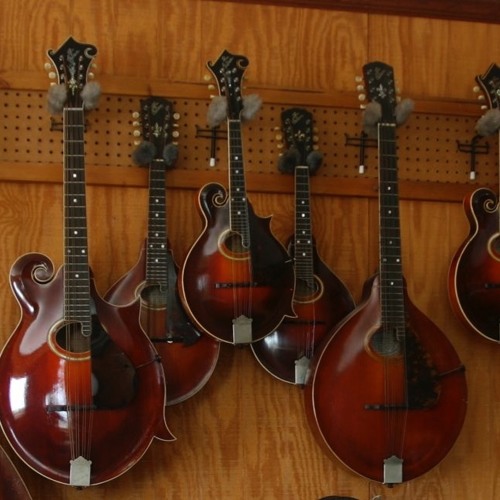 Mandy's Mandolin