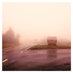 Movie Brain - Phantom Limbs -Movie Brain