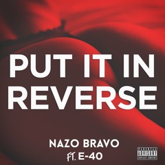 PUT IT IN REVERSE (DJMARIOB INTRO)