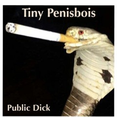 Public Dick (Feat. Yung Gur$h)