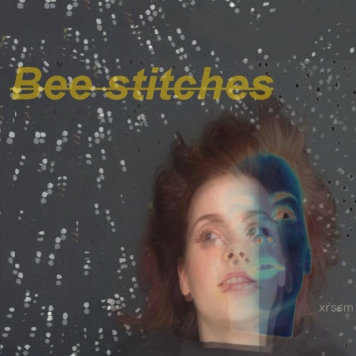 Bee stitches