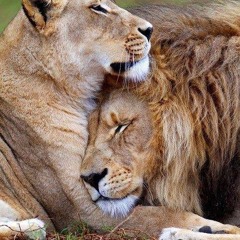 Minor2Major.key Final