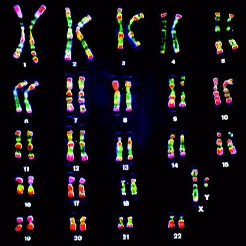 Stream Instructions Not Included by hillju Listen online for free on