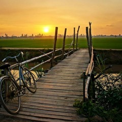 Budda Vipasana​ Kamathan (Basic)