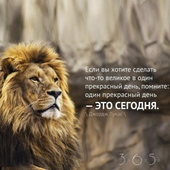 Цитата о прекрасном дне