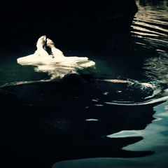 Caress Me To Death- weird ghost bonus