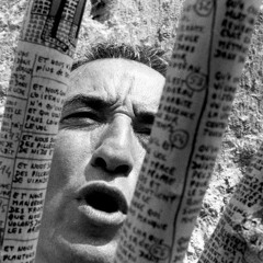 LES ARBRES DU POÈME – SERGE PEY ET DAVID GIANNONI