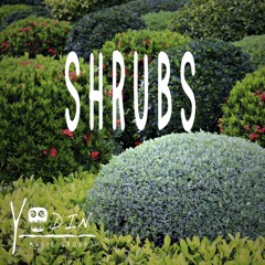 SHRUBS