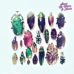 All You'll Ever Need