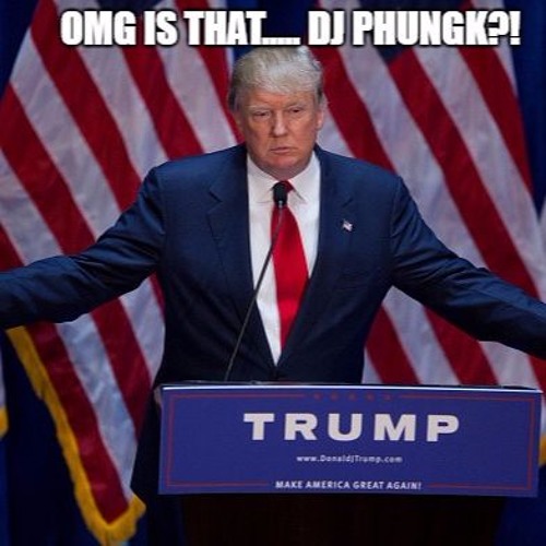 Making Dolphins Great Again