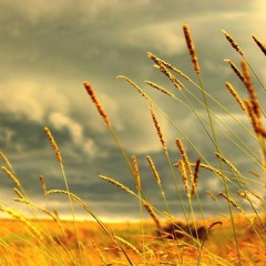 Summer Sweet feat. Mont