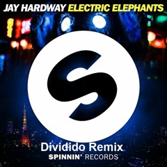 Electric elephant (Dividido Remix) (Sirkus Edit)