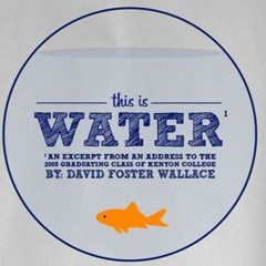 This Is Water Excerpt