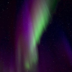 Nahom - Them Nights (Prod. By Bugsy The Puppeteer)