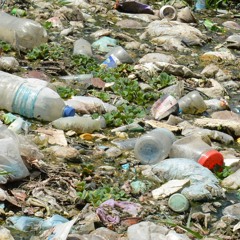 Rubbish Song- We Are To Rule the Nature- Poovan Matheesan musical