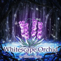 Whitescape Orchid 【SF2016】