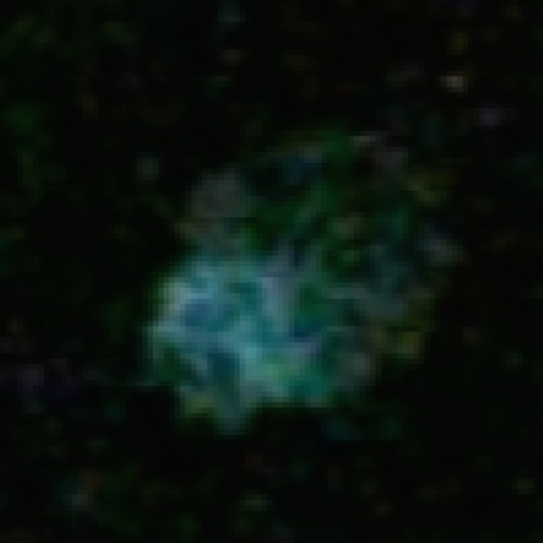 AMEB Clarinet Grade 3 List B Comp Gander Rivett And Distortion Entity