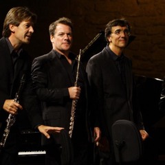 Haydn, Chausson et Schumann à Salon 2015