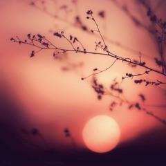 Setting The Mood