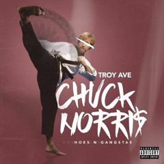 Troy Ave - Chuck Norris (Hoes & Gangstas)