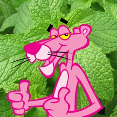 Mint Panther - FULL TEAM MintCollab (MintLab Exclusive)
