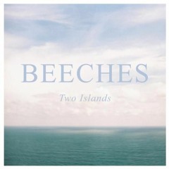 Stay Young - Beeches