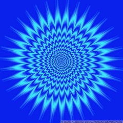 AUDIO ILLUSIONS ~ Chop Shop 50
