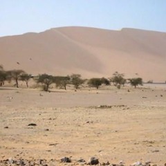 جالية الكدر باسماء اهل بدر