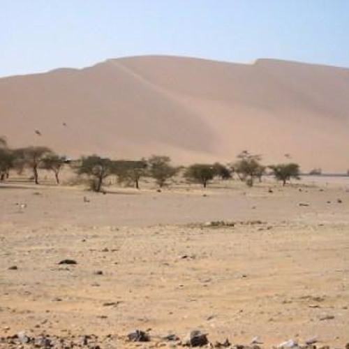 جالية الكدر  البدرية  ابو اسحاق
