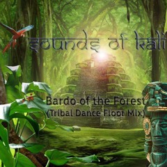 Bardo of the Forest (Tribal Dance Floor Mix)