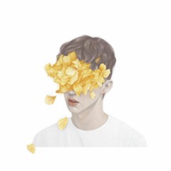 Troye Sivan - FOOLS (SHWANYE REWORK)