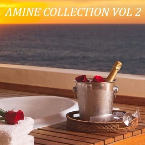 AMINE COLLECTION VOL 2