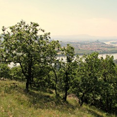 Perfection of The Nature III. - Green