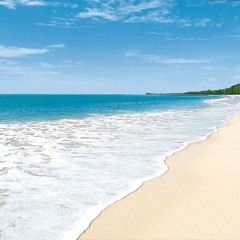 Let's go To The Beach
