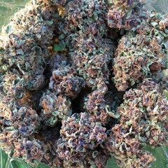 "$TUCK' (prod By Mike Mo) [$(G)$] X F_L_A_M_E_ X K2daO