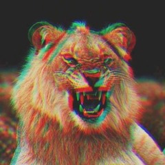 HakunamaTahoe