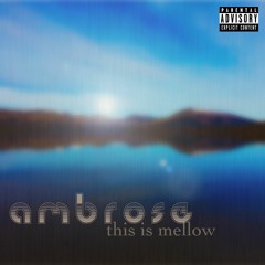 You da One - Rihanna (ambrose remix)