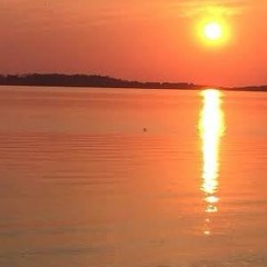 The new cobweb of summer