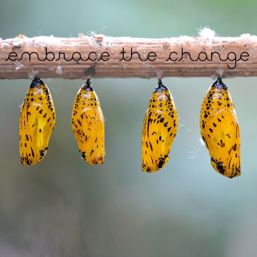 Embrace the Change [Free Download]